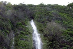 Natureza é a aposta do Turismo da Madeira na BTL 2014