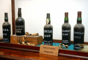 Institute of Masters of Wine em visita à Madeira