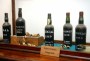 Institute of Masters of Wine em visita à Madeira