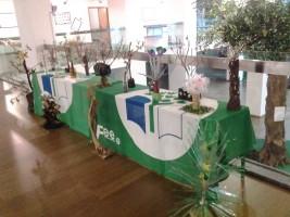 Árvore em flor no Centro de Ciência Viva