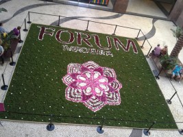 Forum Madeira também se associa à festa da flor
