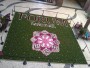 Forum Madeira também se associa à festa da flor