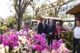 Jardim considera esta a melhor Festa da Flor de sempre