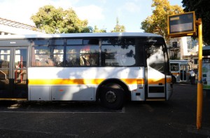 Governo da Madeira apoia cinco transportadoras locais em 5,6 milhões de  euros