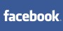 Europeias: Mais de um terço dos eleitores está no Facebook e partidos sabem disso