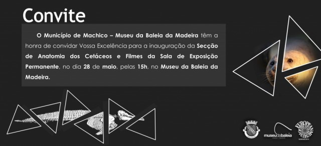 Museu da Baleia assinala Dia dos Museus com limpeza das praias