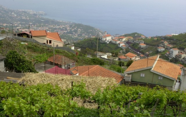 Zonas altas de Câmara de Lobos sem saneamento básico