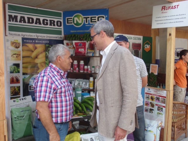 Produção de Banana poderá atingir as 18 toneladas