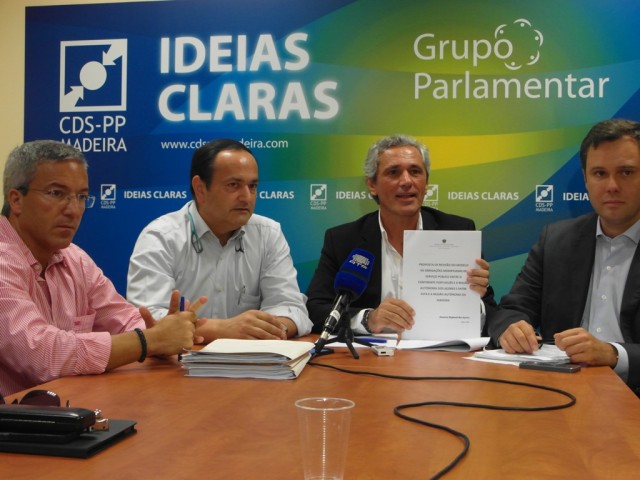 CDS quer renegociação da liberalização da linha aérea