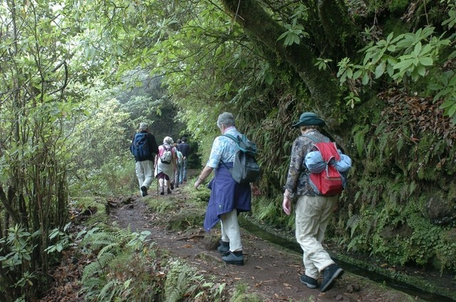 Madeira considerada Melhor Destino Insular da Europa pelo segundo ano consecutivo