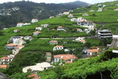 PCP pede apoio a viticultores que perderam culturas