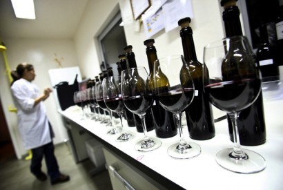 Regiões vitivinícolas querem ser Cidade Europeia do Vinho 2015