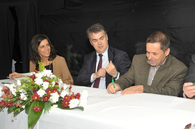 Consumo regional representa 3,9 milhões das vendas de Vinho Madeira