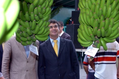 Governo Regional injecta 2,5 ME na empresa de banana da Madeira por falta de liquidez