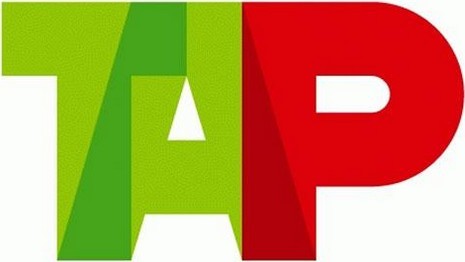 Greves na TAP podem ter custo direto de 66MEuro em 2014