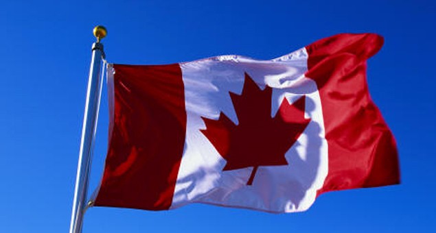 Imigrantes ilegais dizem-se discriminados e explorados por portugueses no Canadá