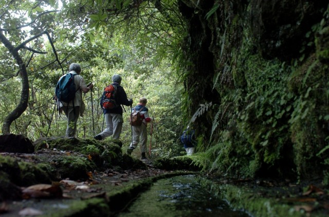“Os Verdes defendem levadas da Madeira como Património da Humanidade