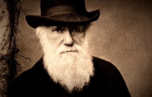 Peças do espólio de Francisco Arruda em exposição