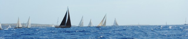 Projecto Curioseaty reuniu na Madeira