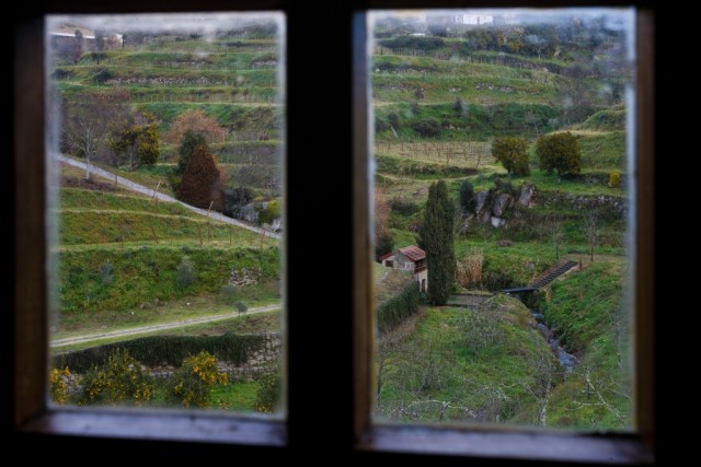 Douro leva 63 produtores à maior feira de vinhos da Europa