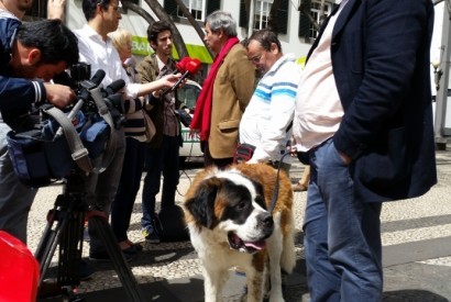 MAS quer limpar a “pocilga” em que se transformou a assembleia
