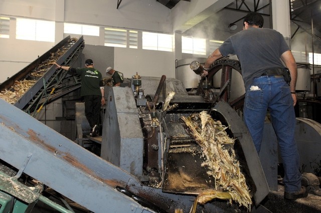 Fábrica do Ribeiro Sêco começa a laboração e prevê adquirir 1.500 toneladas de cana-de-açúcar