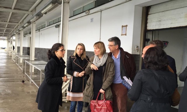 Cláudia Monteiro de Aguiar participa em Missão do Parlamento Europeu aos Açores