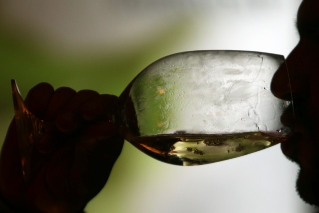 Mais de mil vinhos portugueses avaliados por 85 especialistas em Santarém