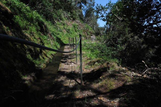 PS quer estender apoios do turismo às levadas da Madeira