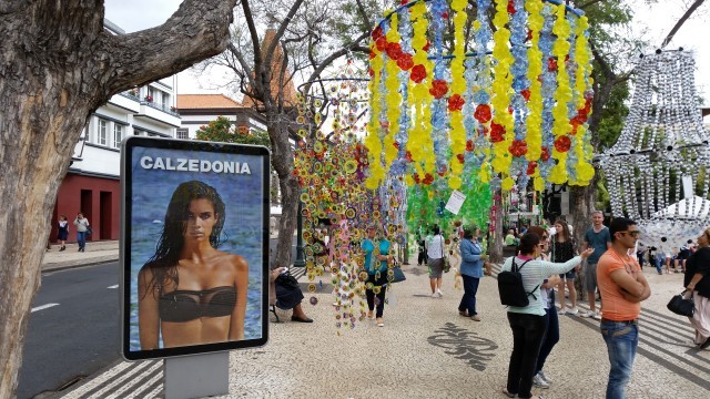 Educação pelas Artes na Madeira é aposta ganha e para continuar, garante secretário Jorge Carvalho