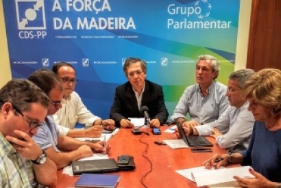 CDS quer inquérito parlamentar à marina do Lugar de Baixo
