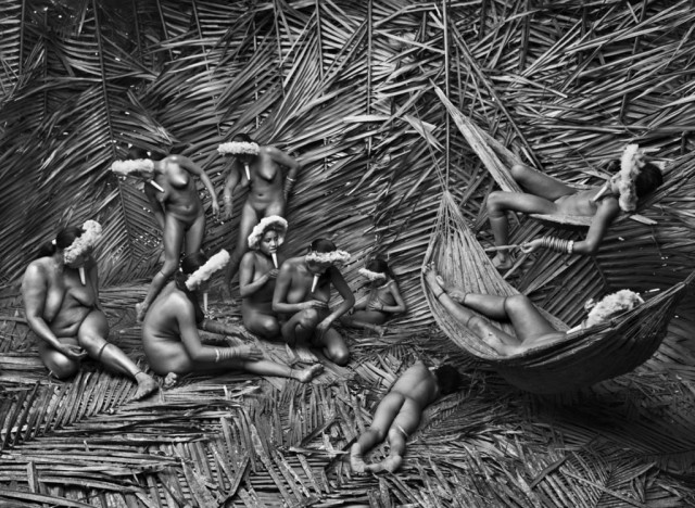 Exposição Genesis de Sebastião Salgado encerra com mais de 55 mil visitantes
