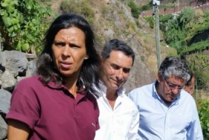 Abertura oficial da vindima a 31 de Agosto