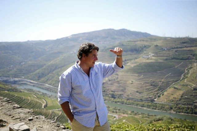 Enoturismo e vindimas são oportunidade de trabalho para muitos no Douro