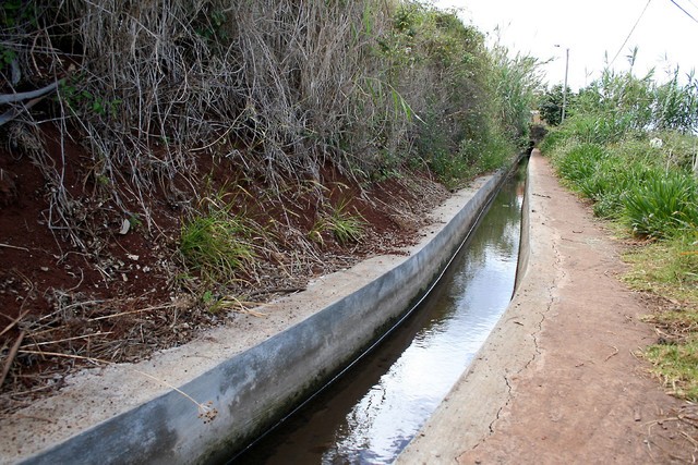 JPP promete reagir se o preço da água de rega subir