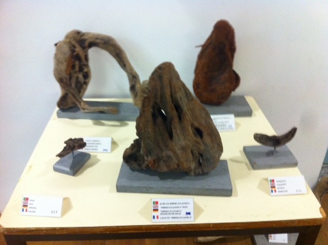 Figuras da Natureza em exposição no Centro Ciência Viva