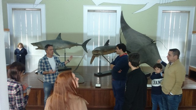 JSD Funchal promete sensibilizar para a Cultura