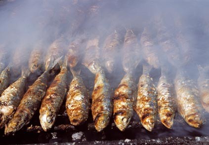 Pesca da sardinha interdita até 29 de Fevereiro