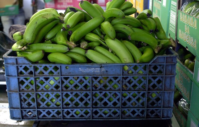 Volume de vendas de banana da Madeira cai 2,6% em 2015