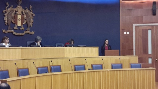 Vânia Jesus aborda a ficção governativa do PS