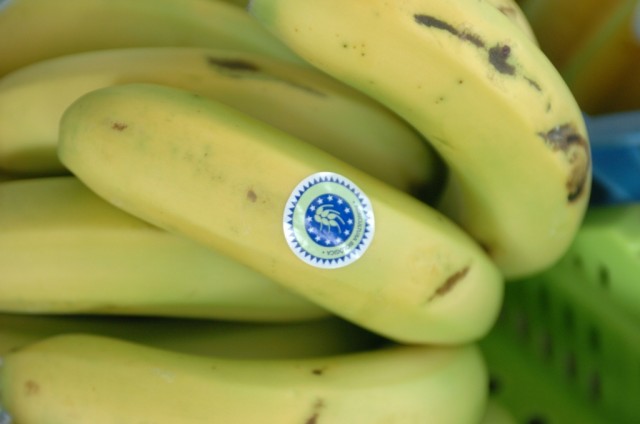 Bananas ajudam a desenvolver teste diagnóstico de cancro na pele