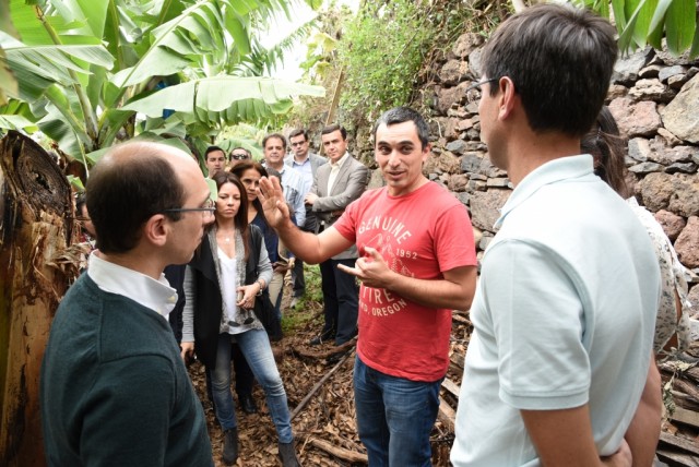 Jornadas do PSD incluem visita a exploração agrícola