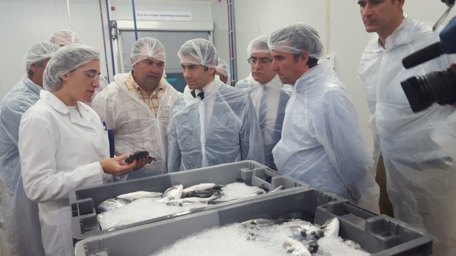 Frota com capacidade para ir aos Açores terá licença para pescar peixe-espada