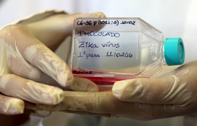 União Europeia vai doar 10 milhões de euros para pesquisas do virus Zika no Brasil