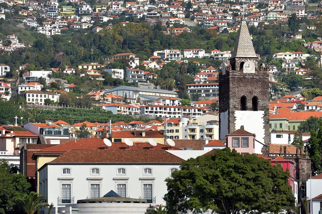 Eduardo Jesus promove projecto Dar a Ver