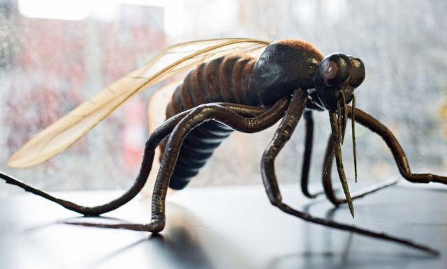 Primeiro caso de contágio de Zika por transmissão sexual em França