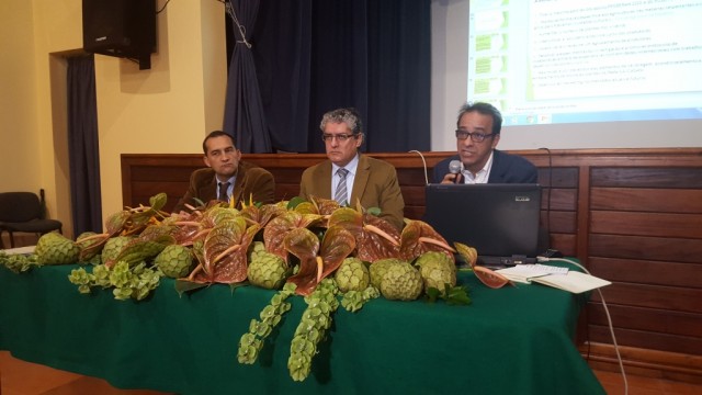 GR paga prémio ao agricultor e tenta garantir escoamento
