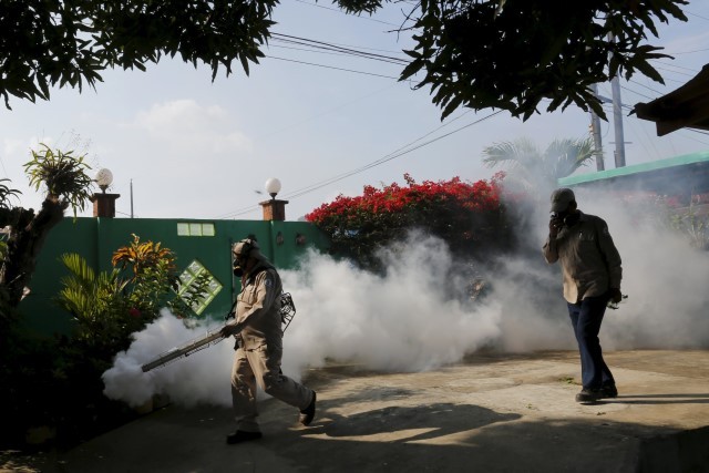 Cientistas definem linhas de investigação do vírus Zika