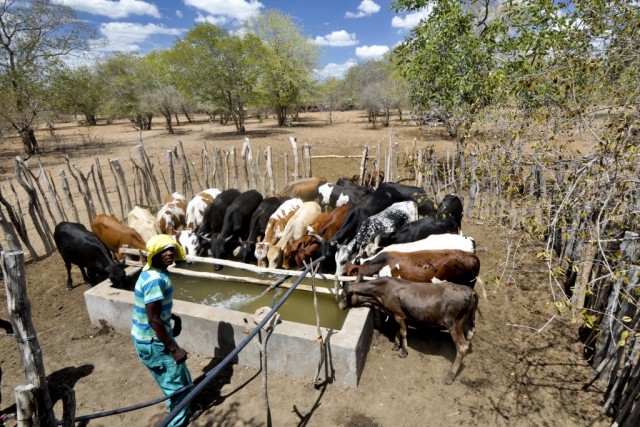 Seca severa em Moçambique compromete duas campanhas agrícolas em Guijá