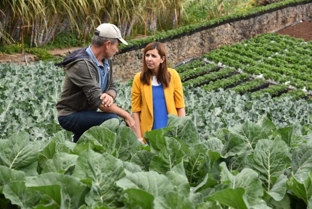 Novos incentivos à agricultura familiar na Madeira